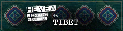 HÉVÉA in Tibet